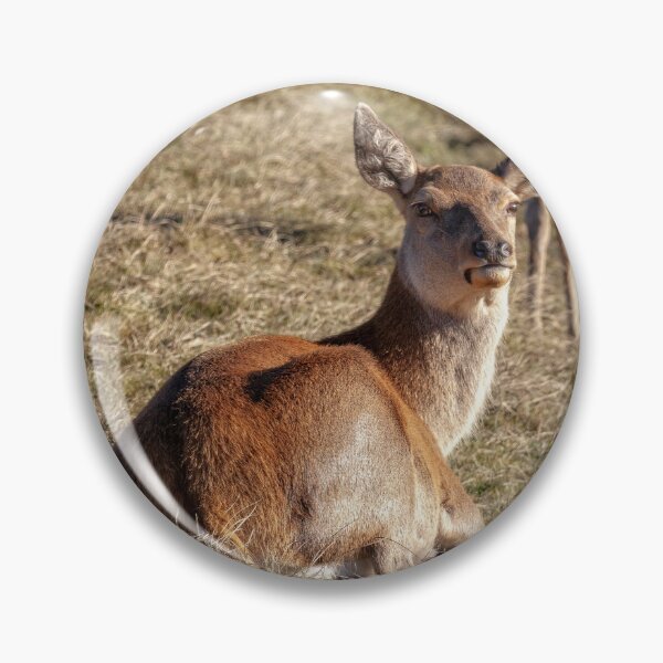 Item preview, Red Deer designed and sold by Eunice Gibb.