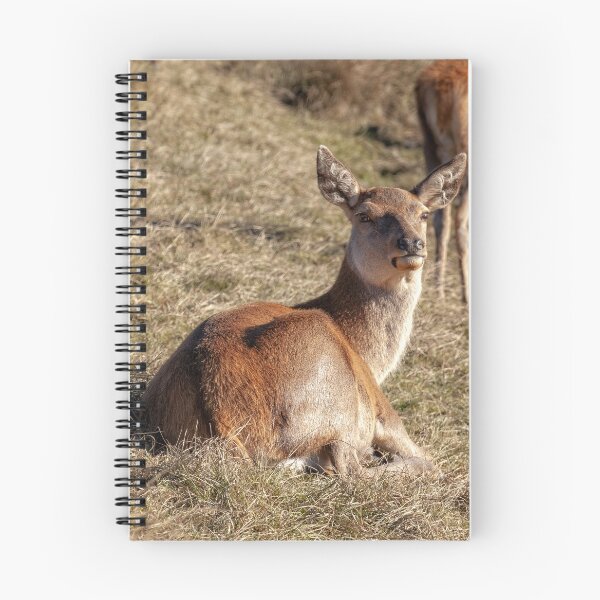 Item preview, Red Deer designed and sold by Eunice Gibb.