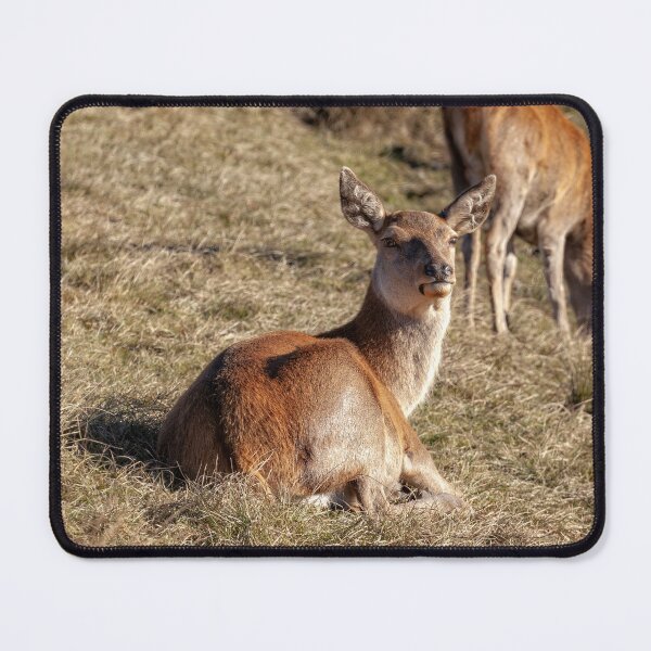 Item preview, Red Deer designed and sold by Eunice Gibb.