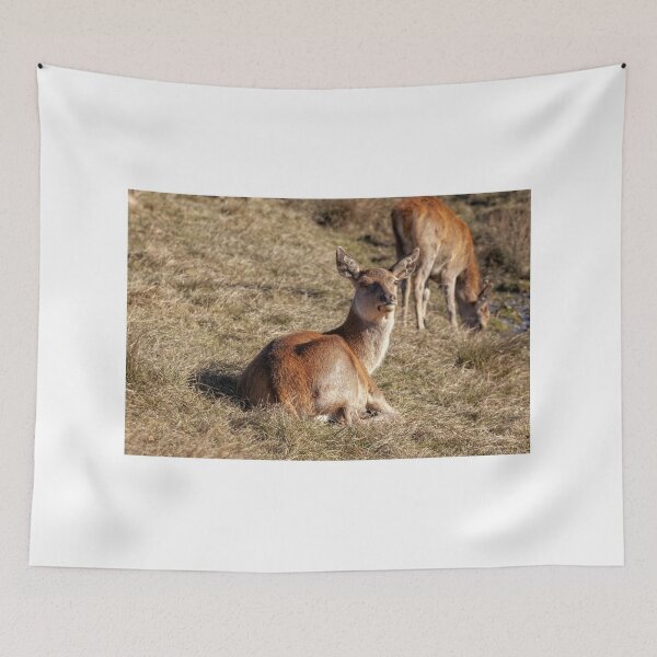 Item preview, Red Deer designed and sold by Eunice Gibb.