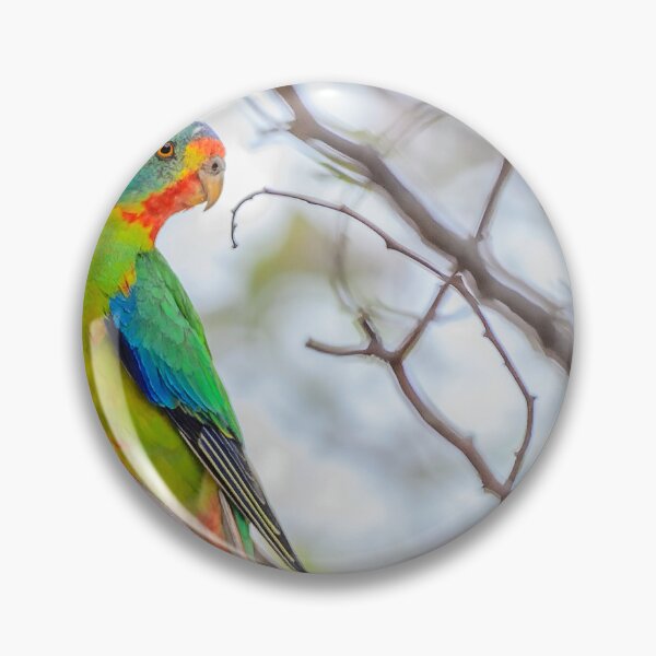 Item preview, Swift Parrot designed and sold by Wildpix.