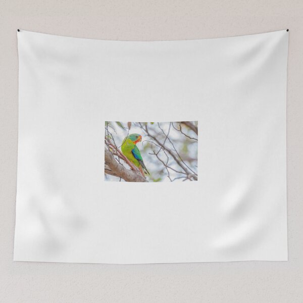 Item preview, Swift Parrot designed and sold by Wildpix.