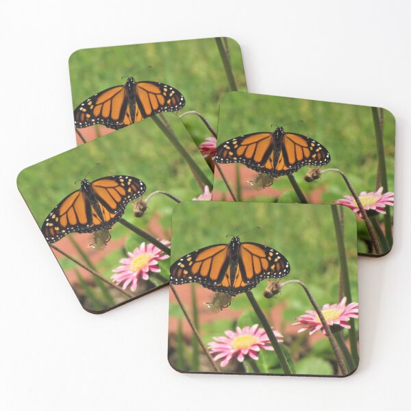 Item preview, Monarch designed and sold by Liana Melissa Allen.