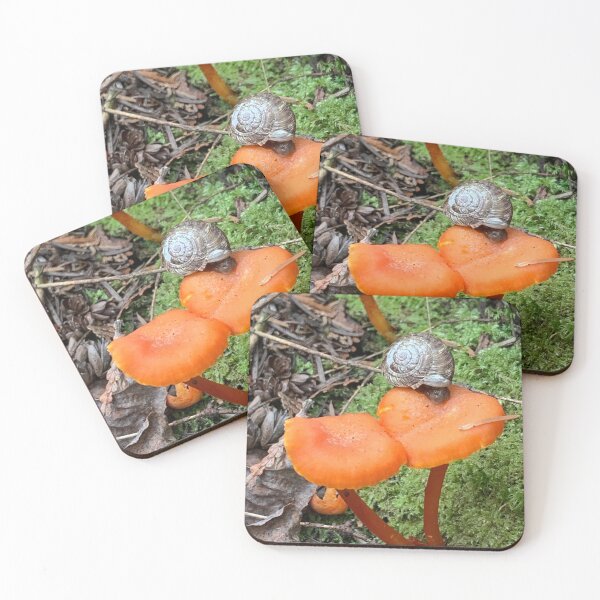 Item preview, Mushroom Snacks for Snelgrove on Flowerpot Island  designed and sold by Maddabblerart.