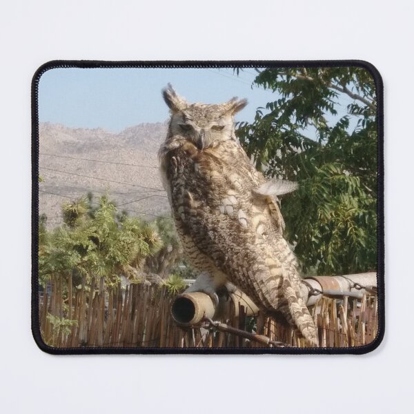 Item preview, Great Horned Owl photo - Joshua Tree California animals designed and sold by abeautifulife.