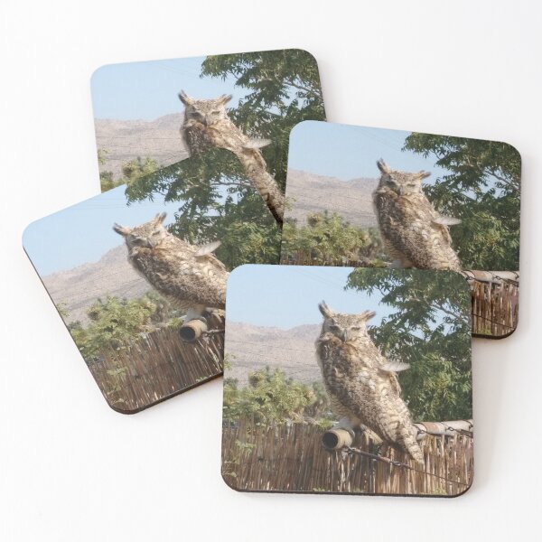 Item preview, Great Horned Owl photo - Joshua Tree California animals designed and sold by abeautifulife.