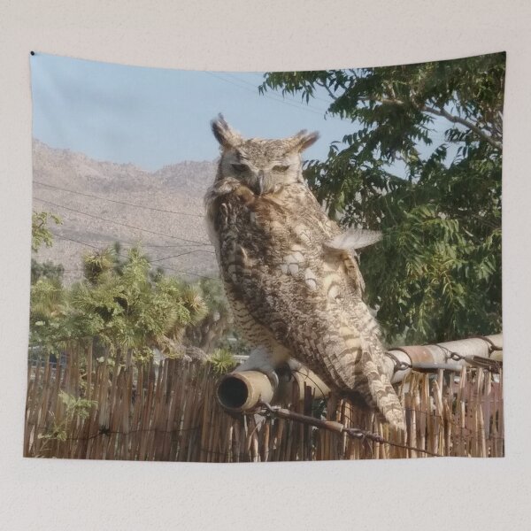 Item preview, Great Horned Owl photo - Joshua Tree California animals designed and sold by abeautifulife.