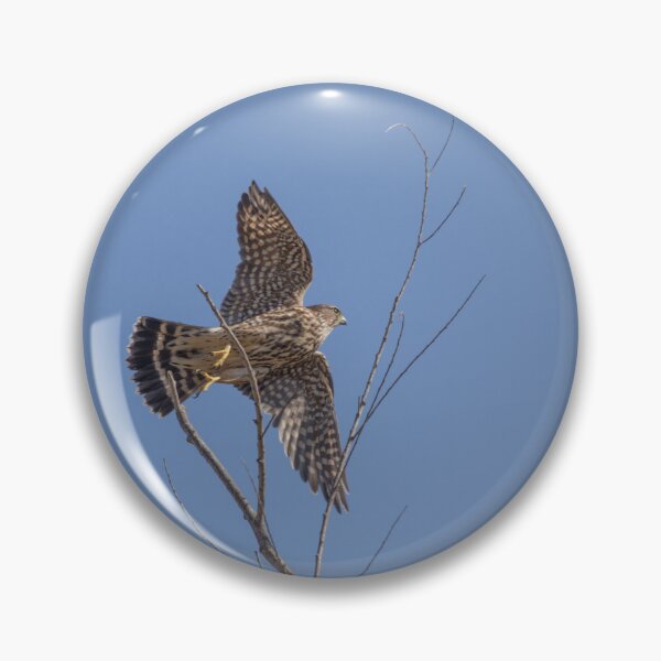 Item preview, The Merlin, A Small Fierce Falcon designed and sold by CarolM.