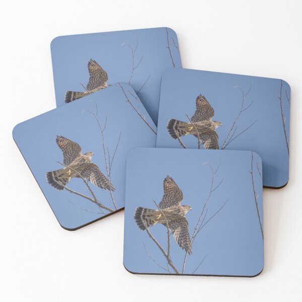 Item preview, The Merlin, A Small Fierce Falcon designed and sold by CarolM.