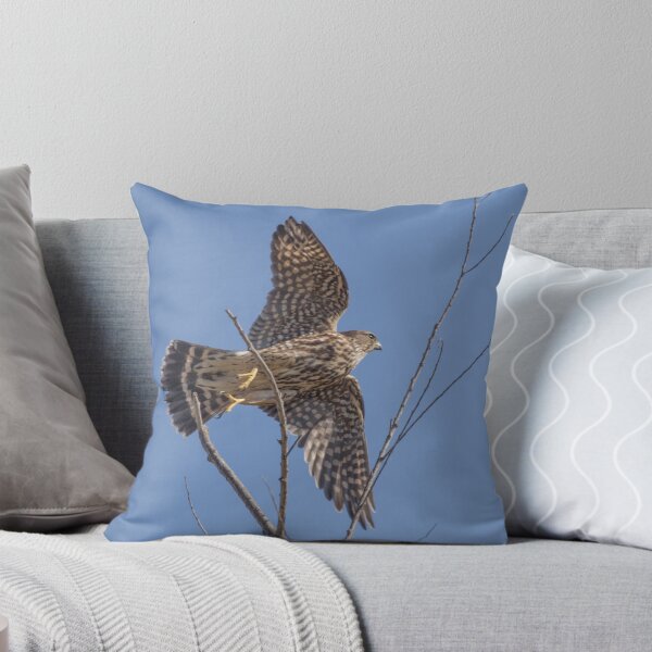 Item preview, The Merlin, A Small Fierce Falcon designed and sold by CarolM.