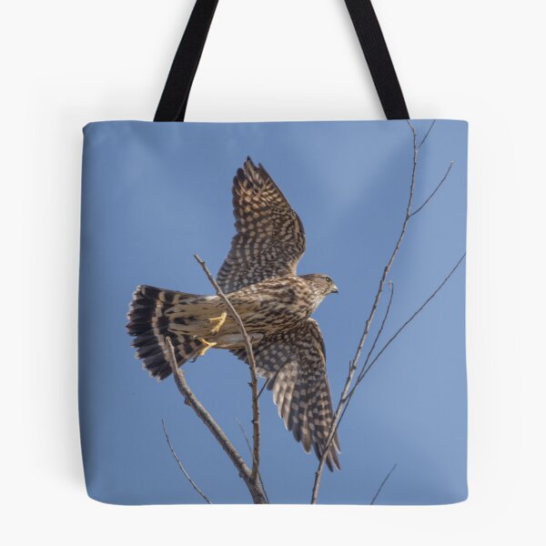 Item preview, The Merlin, A Small Fierce Falcon designed and sold by CarolM.