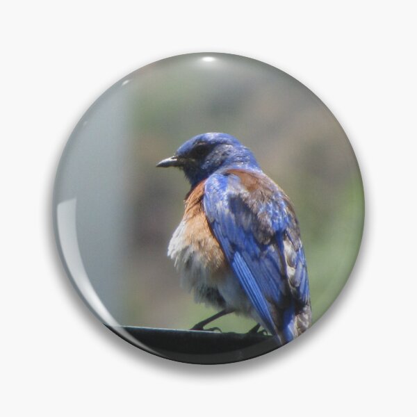Item preview, Mr. Bluebird designed and sold by Liana Melissa Allen.