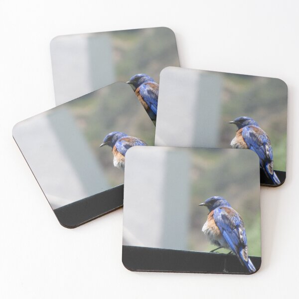 Item preview, Mr. Bluebird designed and sold by Liana Melissa Allen.