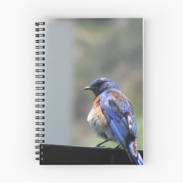 Item preview, Mr. Bluebird designed and sold by Liana Melissa Allen.