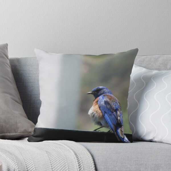 Item preview, Mr. Bluebird designed and sold by Liana Melissa Allen.