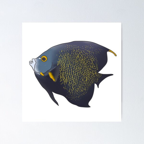Item preview, French Angelfish designed and sold by LisaTrincaArt.