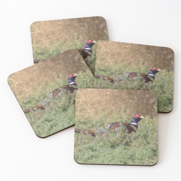 Item preview, Ring-necked Pheasant designed and sold by CarolM.
