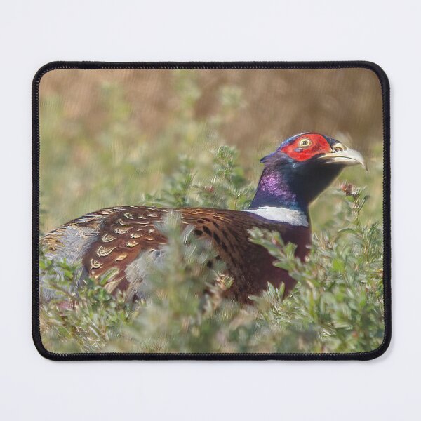 Item preview, Ring-necked Pheasant designed and sold by CarolM.