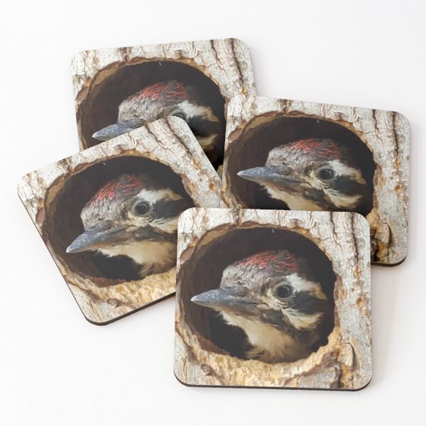 Item preview, Ladder-backed Woodpecker peeking out of a tree hole  designed and sold by abeautifulife.