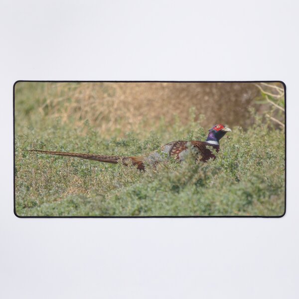Item preview, Ring-necked Pheasant designed and sold by CarolM.
