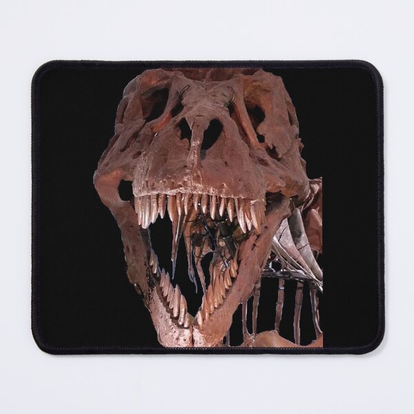 Item preview, Sue the Tyrannosaurus Rex original photo designed and sold by WHemporium.