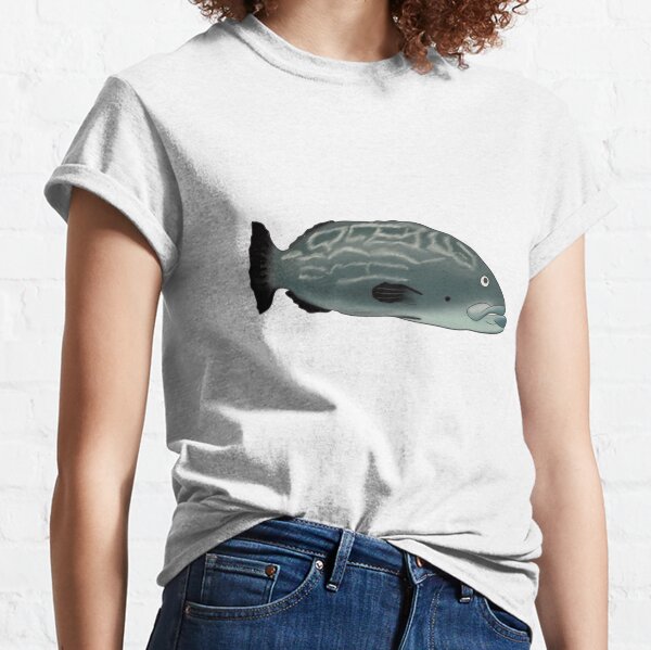 Camisetas: Grouper Fish