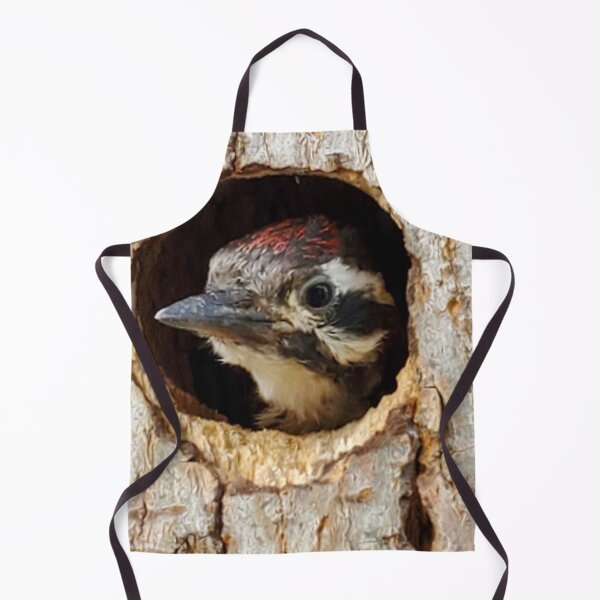 Item preview, Ladder-backed Woodpecker peeking out of a tree hole designed and sold by abeautifulife.