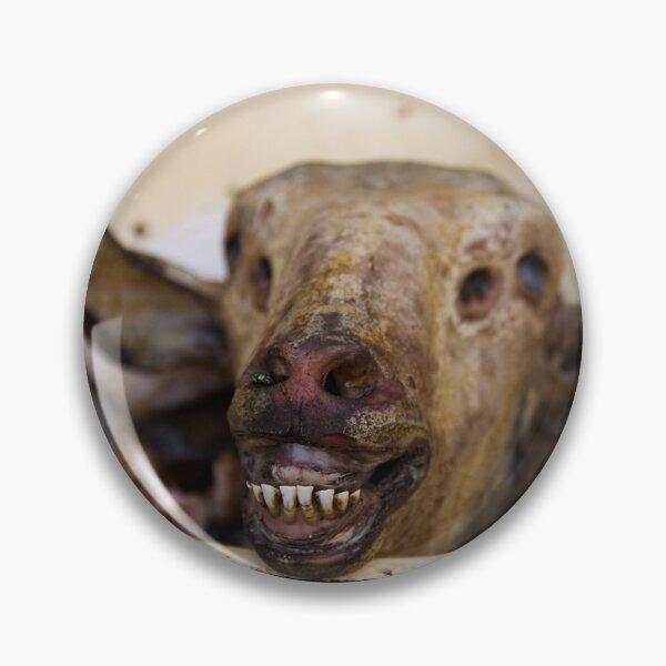 Item preview, Sheep head, Chorsu Bazaar, Tashkent, Uzbekistan designed and sold by Gillian Anderson LAPS, AFIAP.