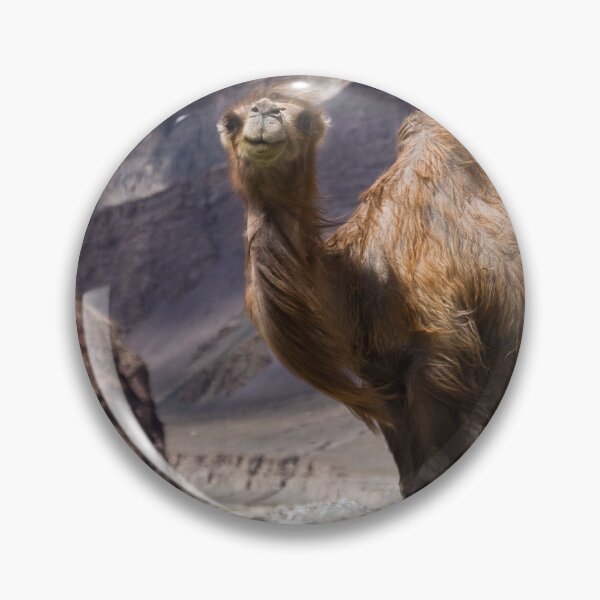 Item preview, Gateway to the Karakoram Highway designed and sold by Gillian Anderson LAPS, AFIAP.