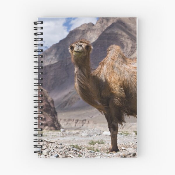 Item preview, Gateway to the Karakoram Highway designed and sold by Gillian Anderson LAPS, AFIAP.