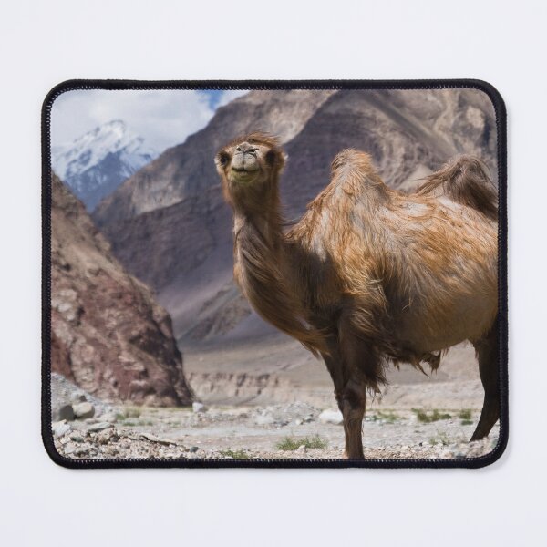 Item preview, Gateway to the Karakoram Highway designed and sold by Gillian Anderson LAPS, AFIAP.