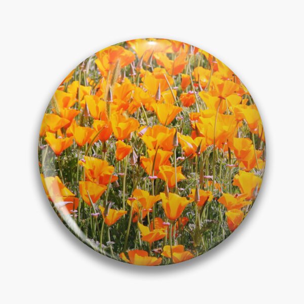 Item preview, Poppies in Shiraz designed and sold by Gillian Anderson LAPS, AFIAP.
