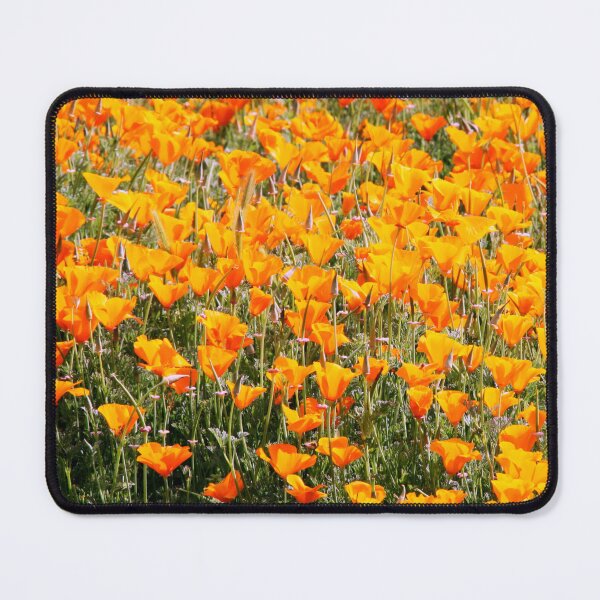 Item preview, Poppies in Shiraz designed and sold by Gillian Anderson LAPS, AFIAP.