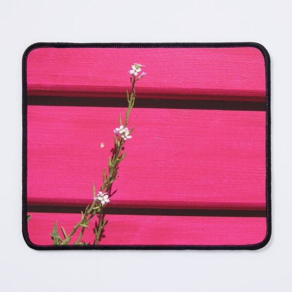 Item preview, Pink Bathing Box & Flower designed and sold by Gillian Anderson LAPS, AFIAP.
