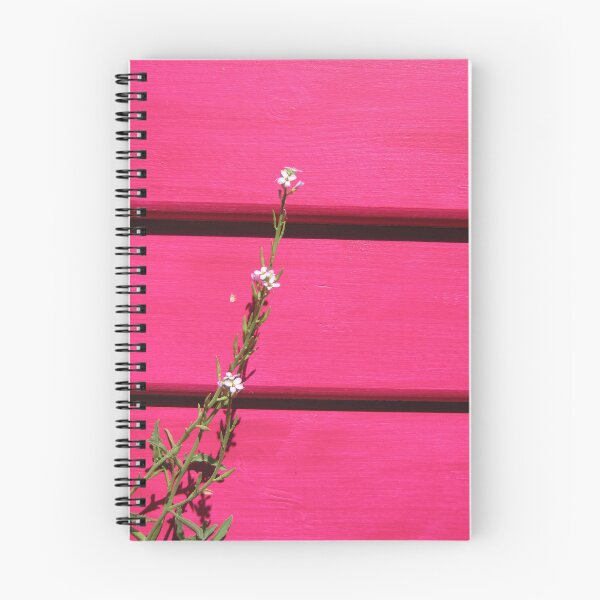 Item preview, Pink Bathing Box & Flower designed and sold by Gillian Anderson LAPS, AFIAP.
