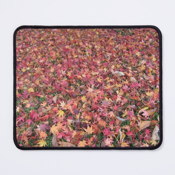 Item preview, Hues of Autumn designed and sold by Gillian Anderson LAPS, AFIAP.