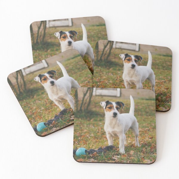 Item preview, Little white terrier standing at garden designed and sold by riku05830.