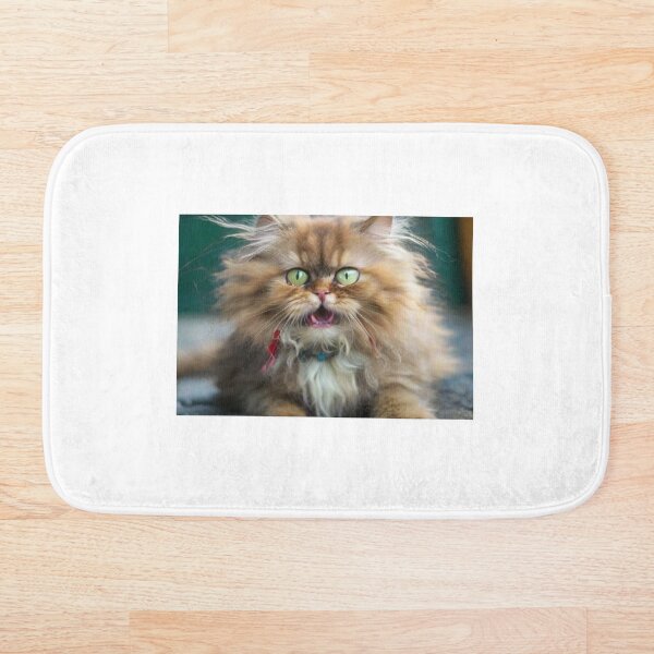 Item preview, Whiskerwiggle - bebé felino loco designed and sold by JCatDesign.