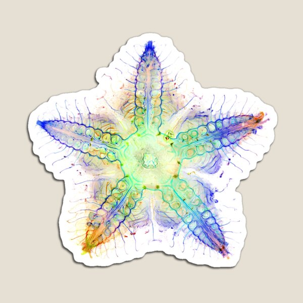 Item preview, Starfish Nervous System designed and sold by MakeWayDesign.