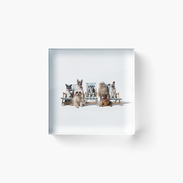 Item preview, Dogs Sunbathing On Deckchairs designed and sold by NeavesPhoto.