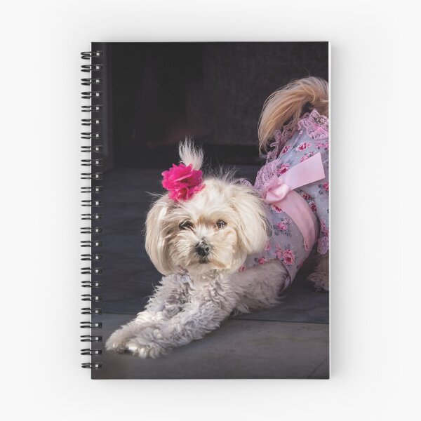 Item preview, Tootsie designed and sold by Colin White.