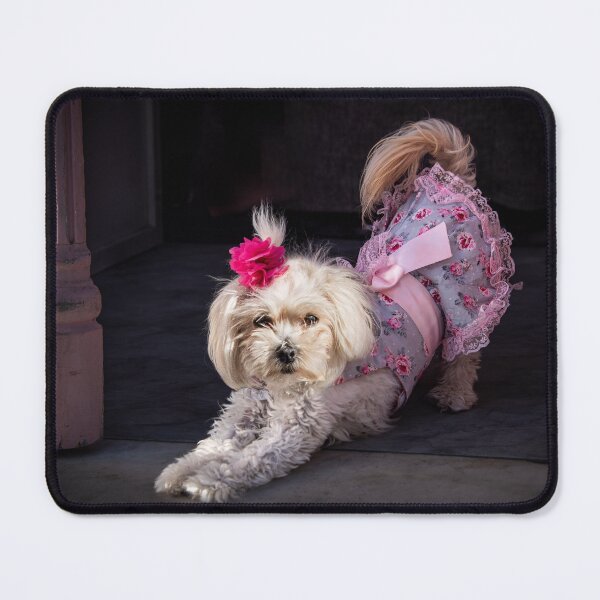 Item preview, Tootsie designed and sold by Colin White.