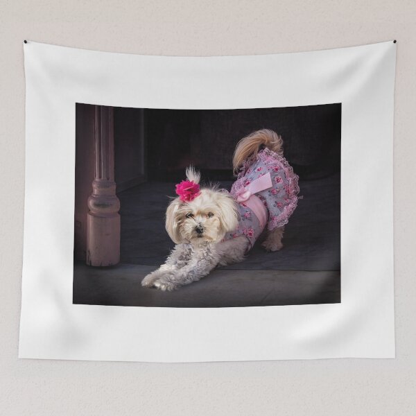 Item preview, Tootsie designed and sold by Colin White.