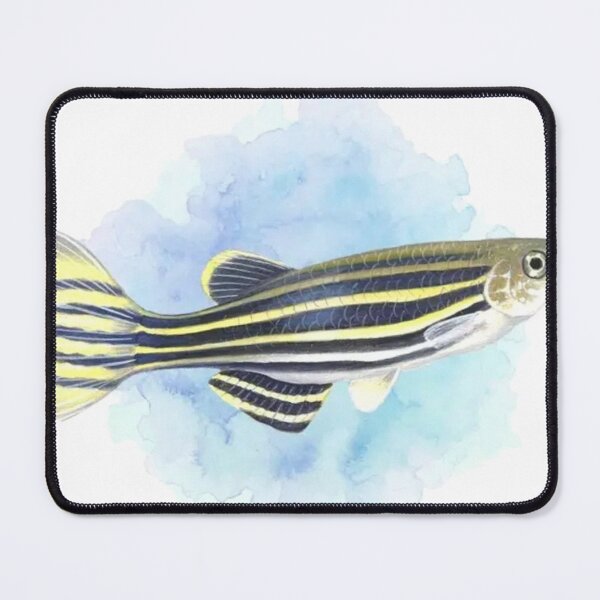 Item preview, Zebrafish designed and sold by clintang.