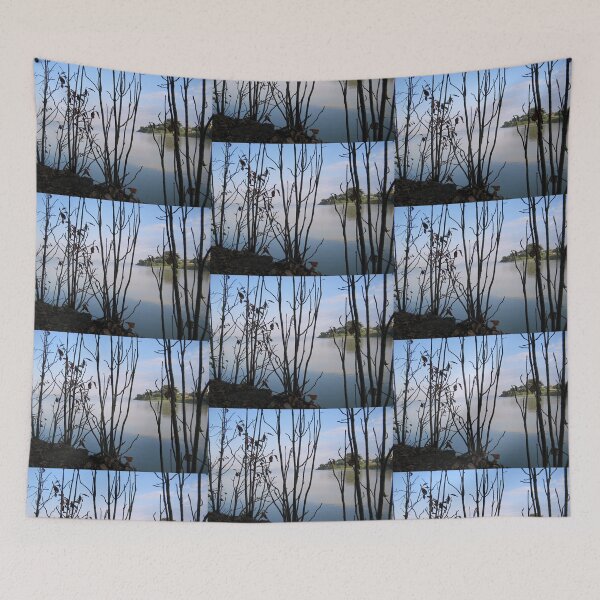 Item preview, Lake Tana, Ethiopia designed and sold by John Douglas.