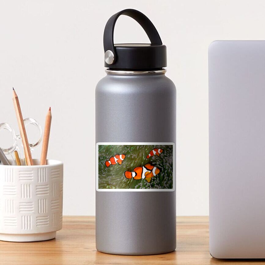 Nemo trio Sticker