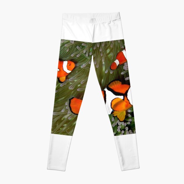 Nemo trio Leggings