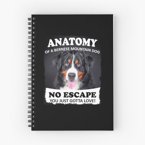 Aperçu de l'œuvre Anatomie d'un Berner - T-shirt Berner Lover créée et vendue par irek07.