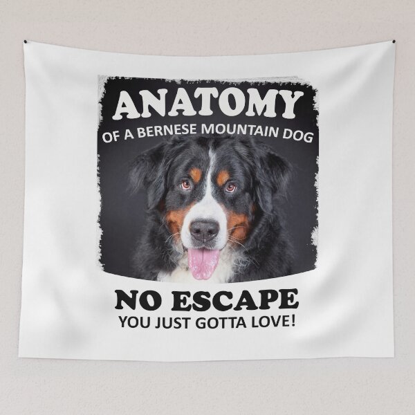 Aperçu de l'œuvre Anatomie d'un Berner - T-shirt Berner Lover créée et vendue par irek07.