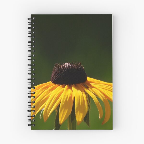 Item preview, Yellow echinacea designed and sold by Infinity81.